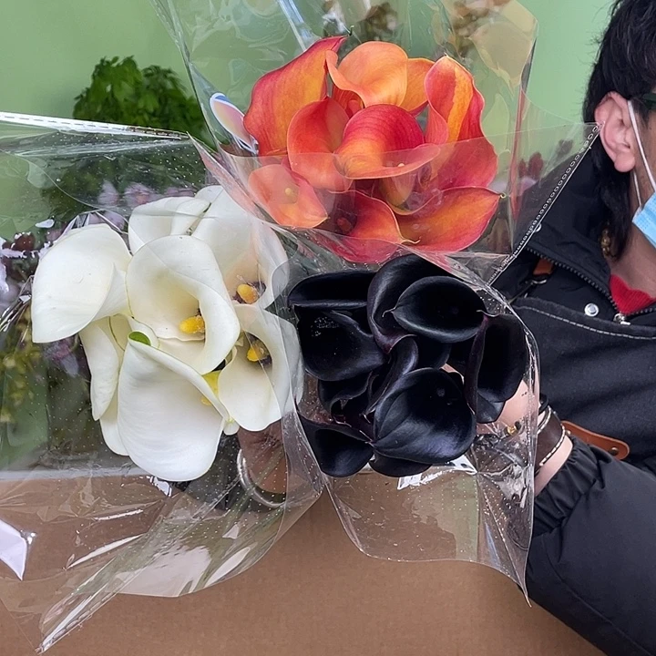 完全开放2号马蹄莲3把25支