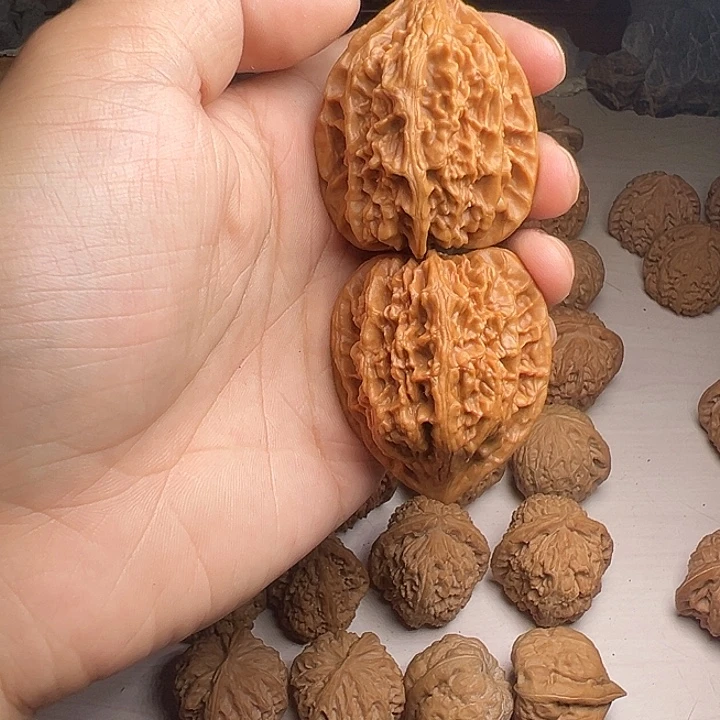 古***源大鸡心狮子头子的