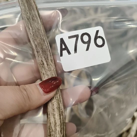 世***间鹿角鹿角鹿角鹿角鹿