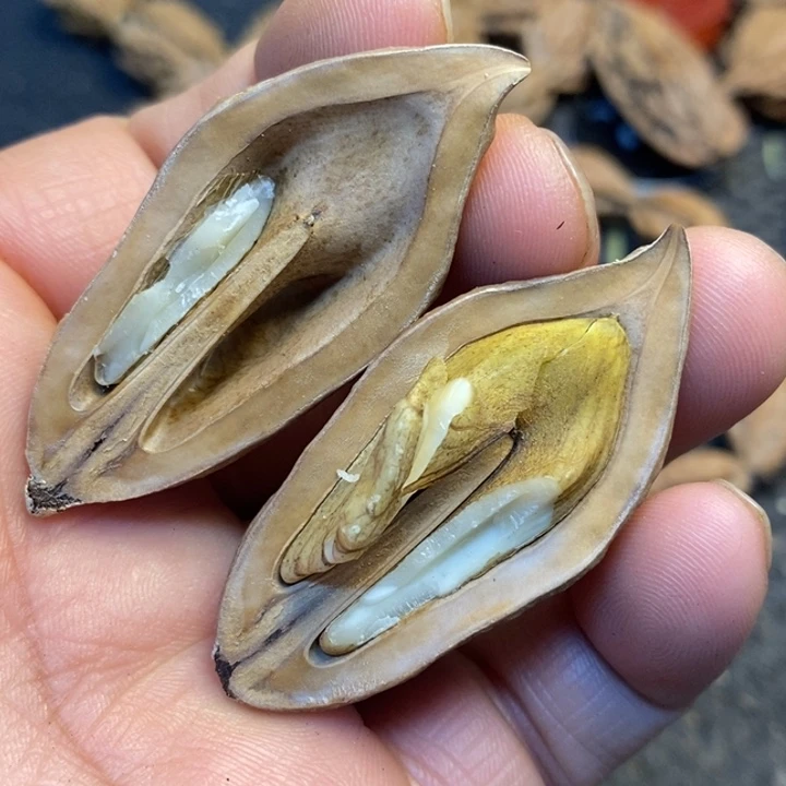 桃核吊坠娜姐你真的19