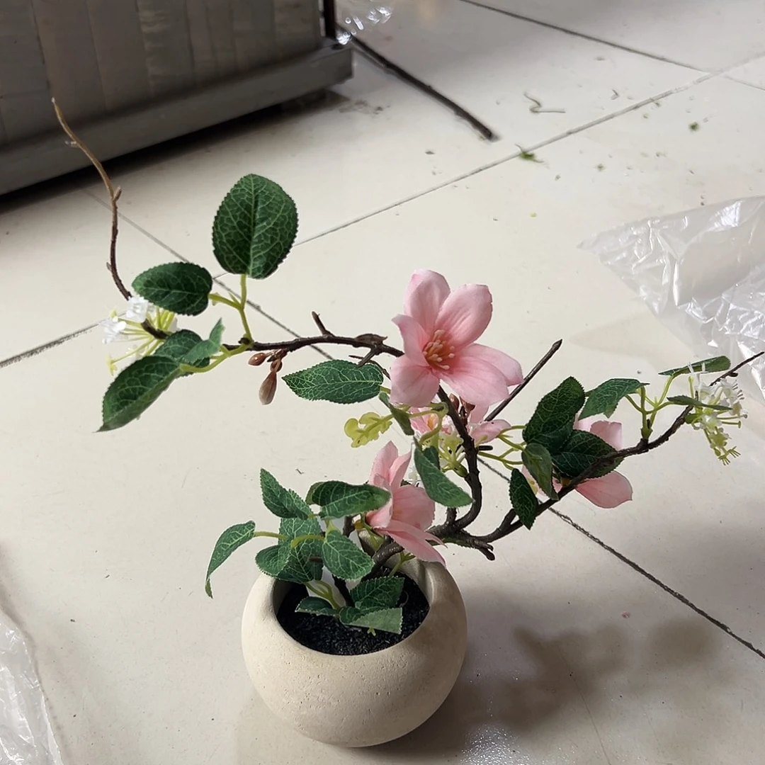 抖音直播瑕疵一盆