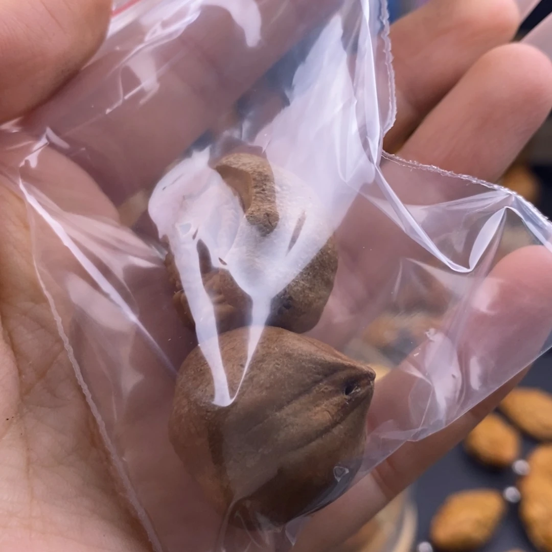 橄榄核吊坠黎**风橄榄核福利单子两单起邮