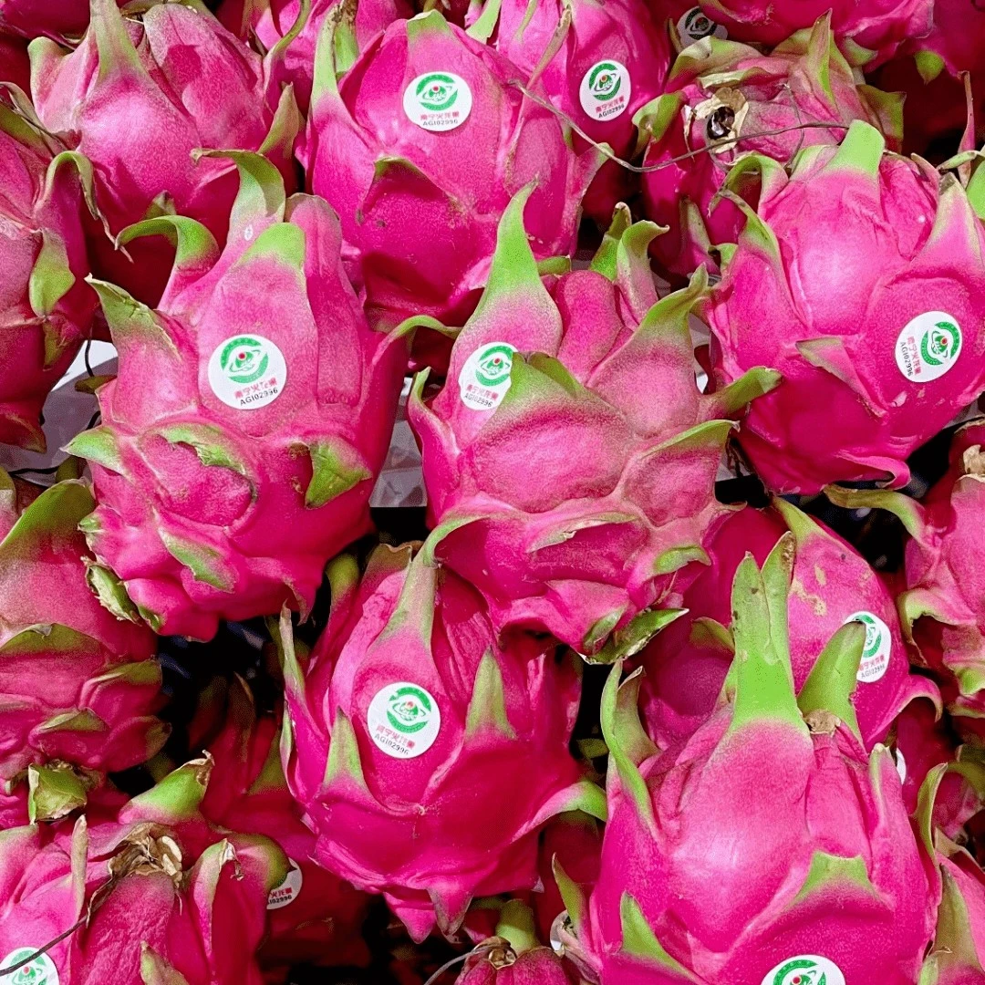 红心火龙果一颗330克左右新鲜