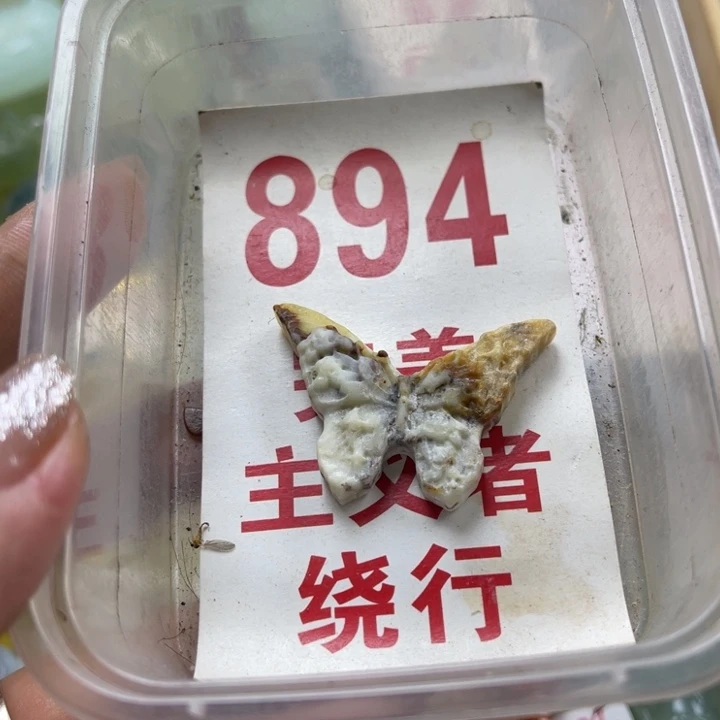 蛇纹石玉未镶嵌笔搁