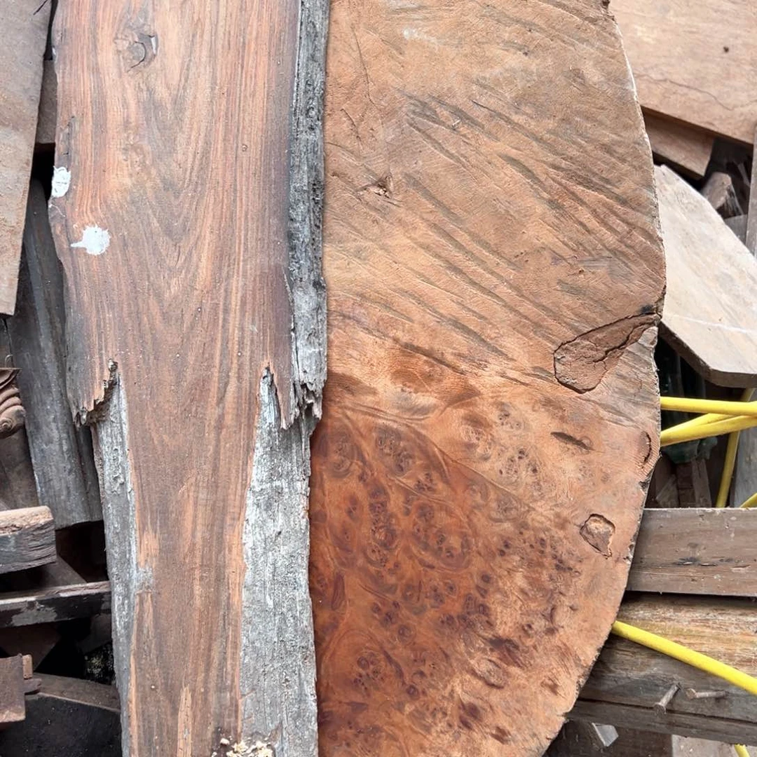 大果紫檀（缅甸花梨）蓝**卫