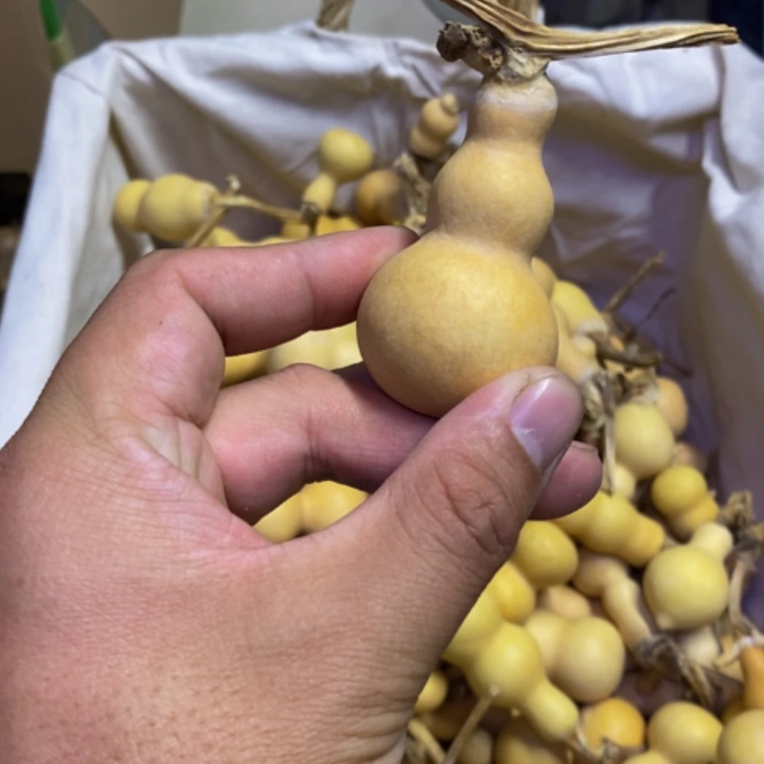 【闪购商品】创**绘哈哈哈哈哈哈哈哈哈哈