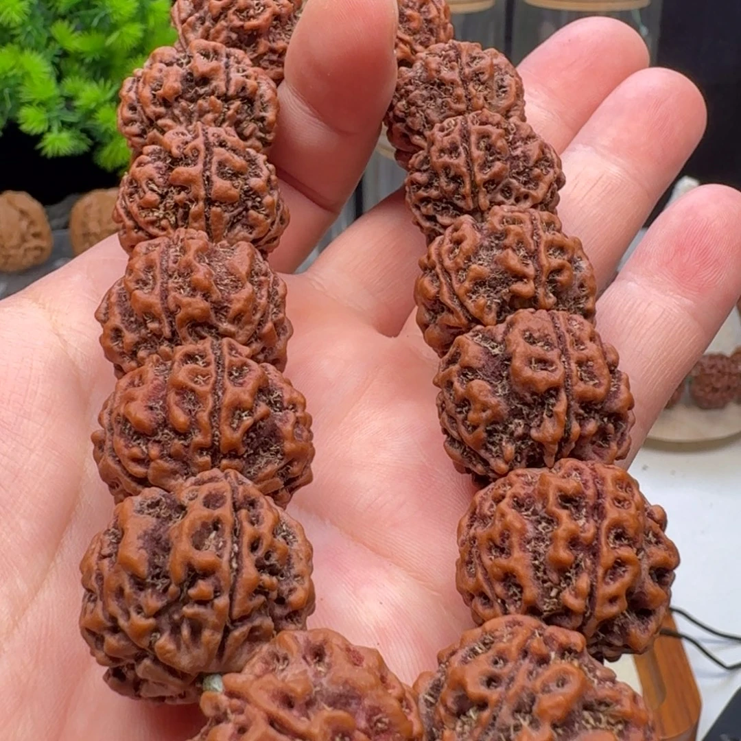 手串金刚菩提大粗筋蜂窝双龙