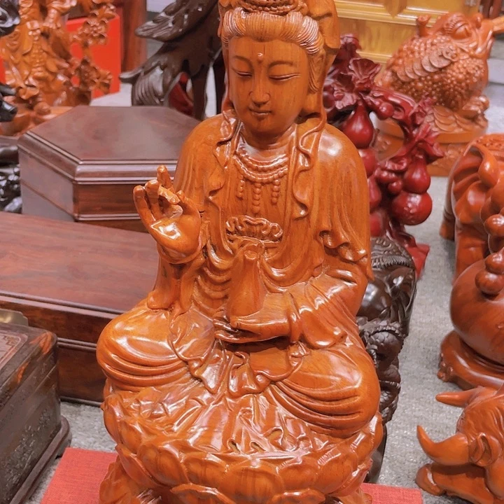 香榧木g v j j h c c j j