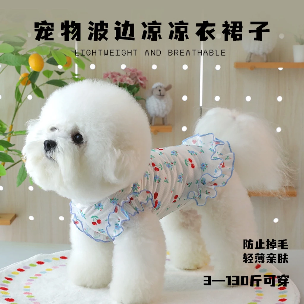 狗狗夏季薄款连衣裙小中大型比熊泰迪柯基金毛大狗狗裙子