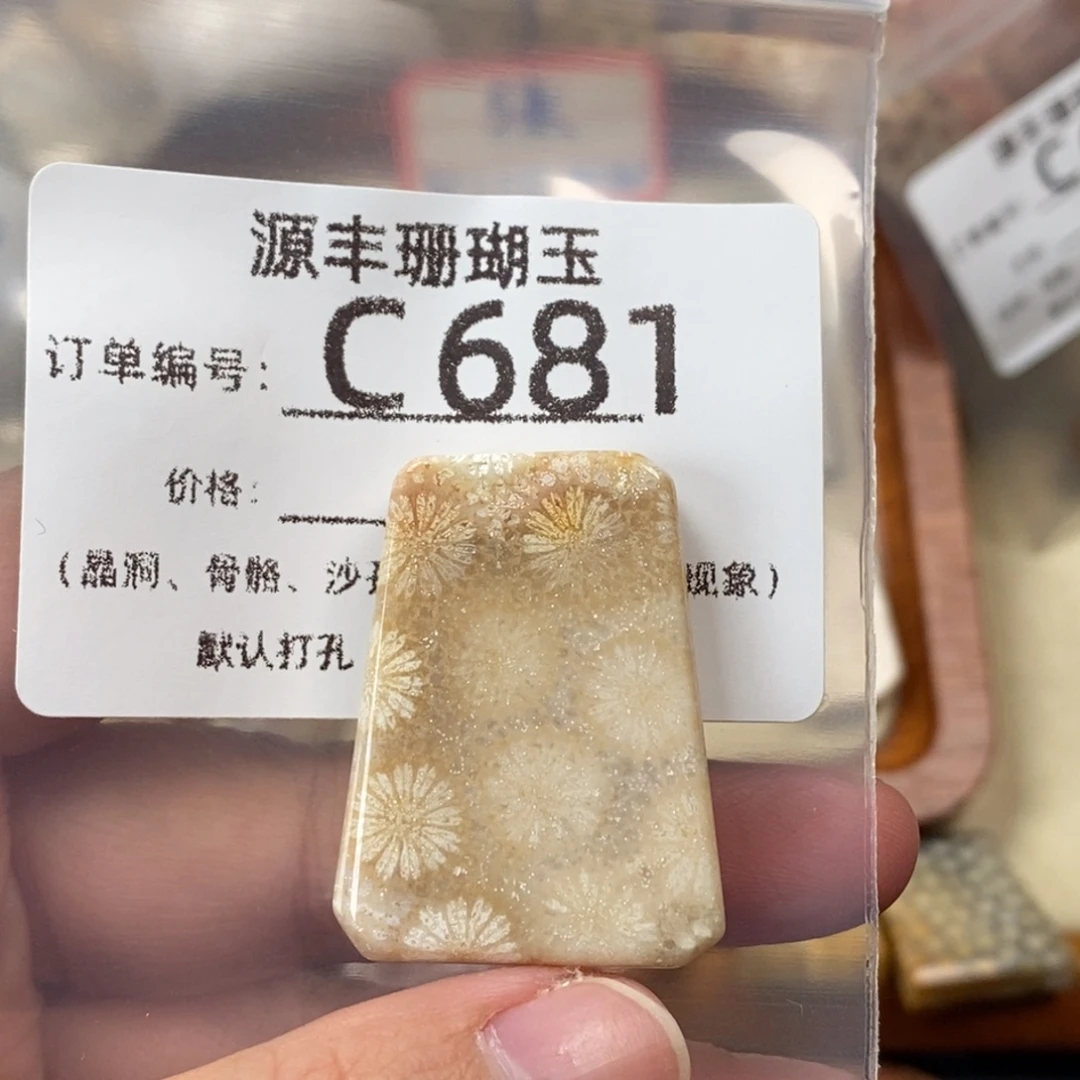 大***行硅化玉未镶嵌颈饰