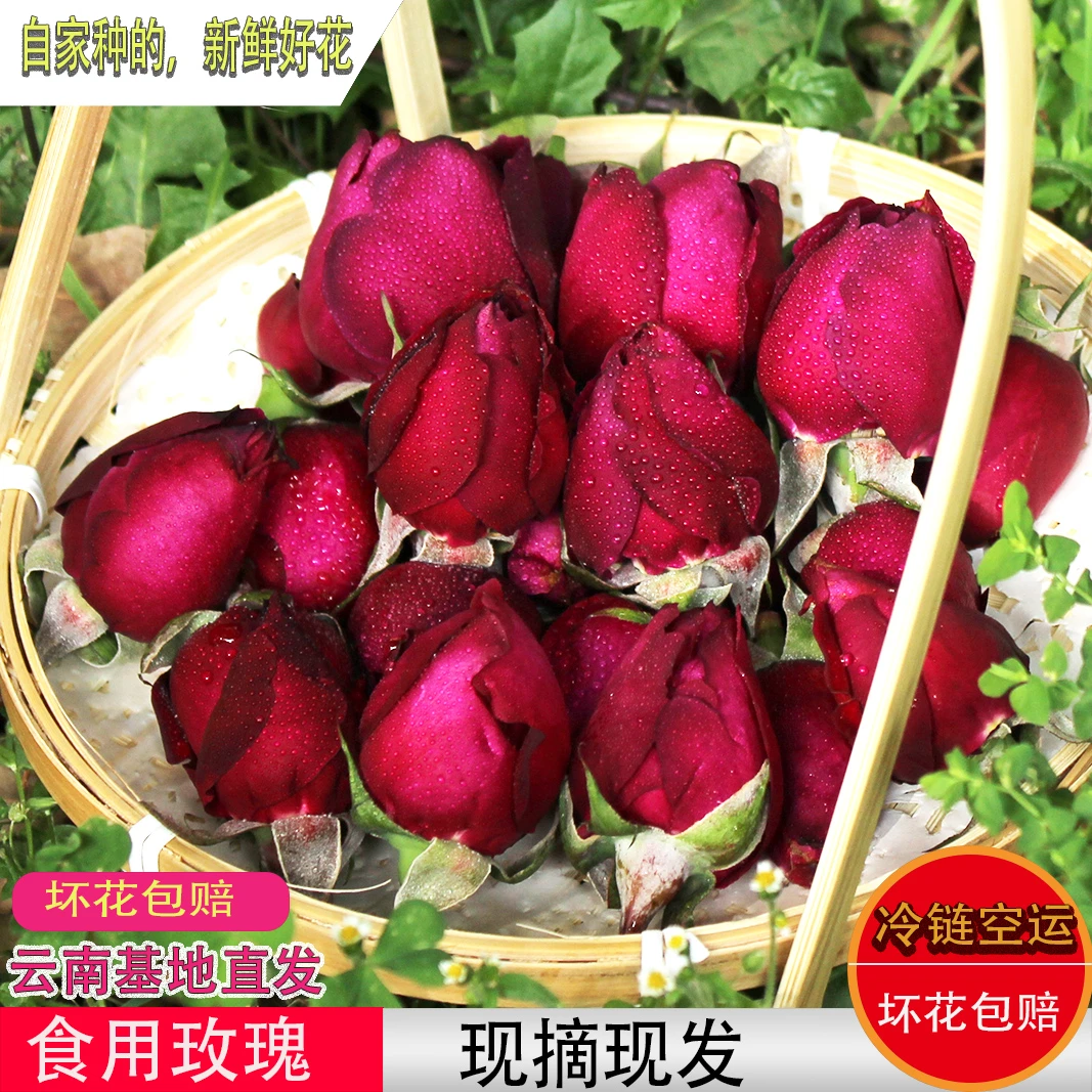 云南新鲜墨红玫瑰玫瑰花骨朵泡醋酵素馅料荞麦