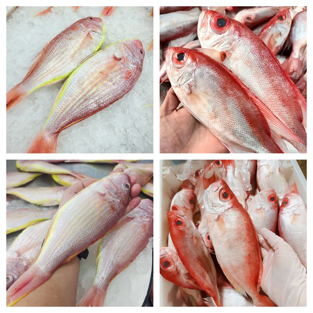【马鲛仔海产】海鲜套餐：4斤大红三鱼+1斤大眼鸡 共5斤 顺丰包邮