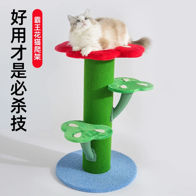 喵仙儿霸王花猫爬架与猫窝二合一四季通用猫咪宠物用品