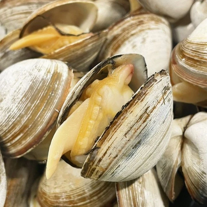 丹东白蚬子王（一斤16-18）