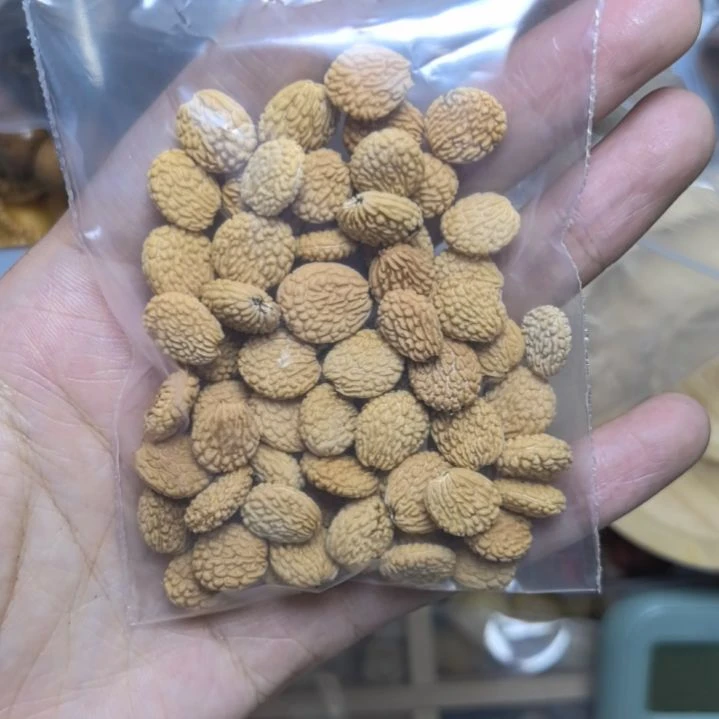 用***2白玉菩提吊坠菩提散珠自选菩提散珠