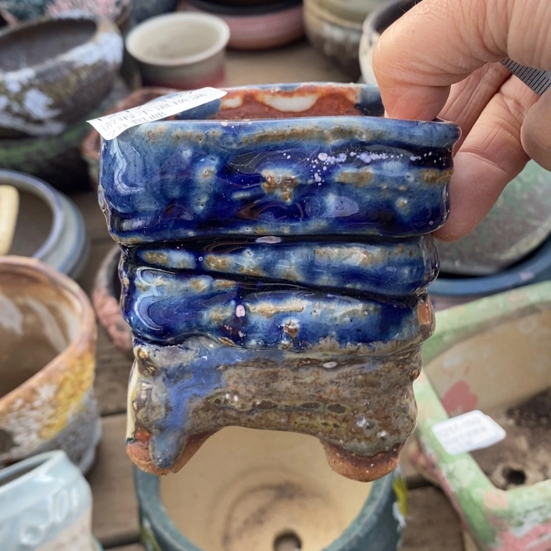 157号多肉盆口径7