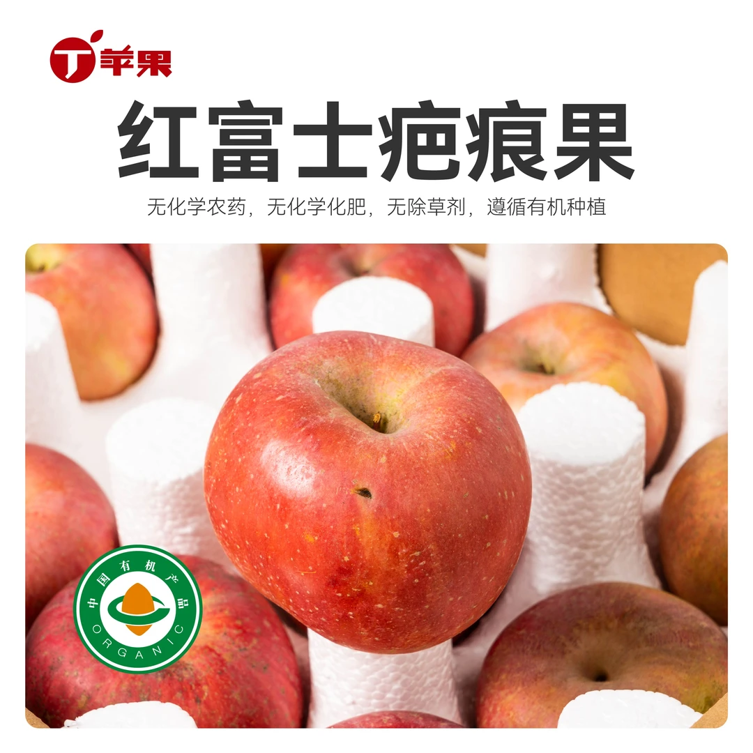 红富士【丁苹果】口感差 干疤碰压 煮水/烘焙/煮粥 迷你果 有机认证