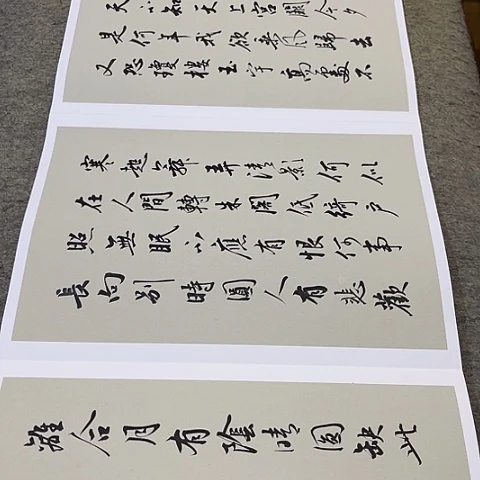 r***m苏轼诗词册页作品