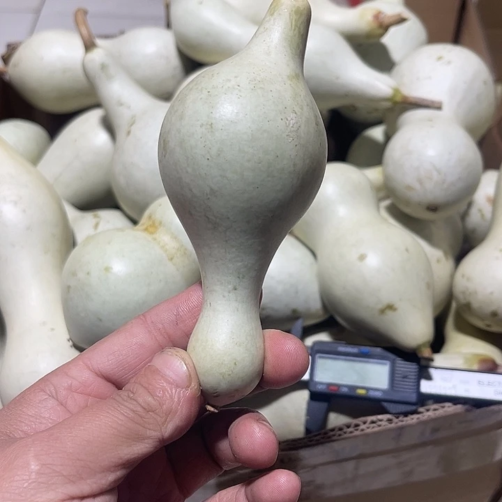 非洲紫檀（红花梨）失***茶