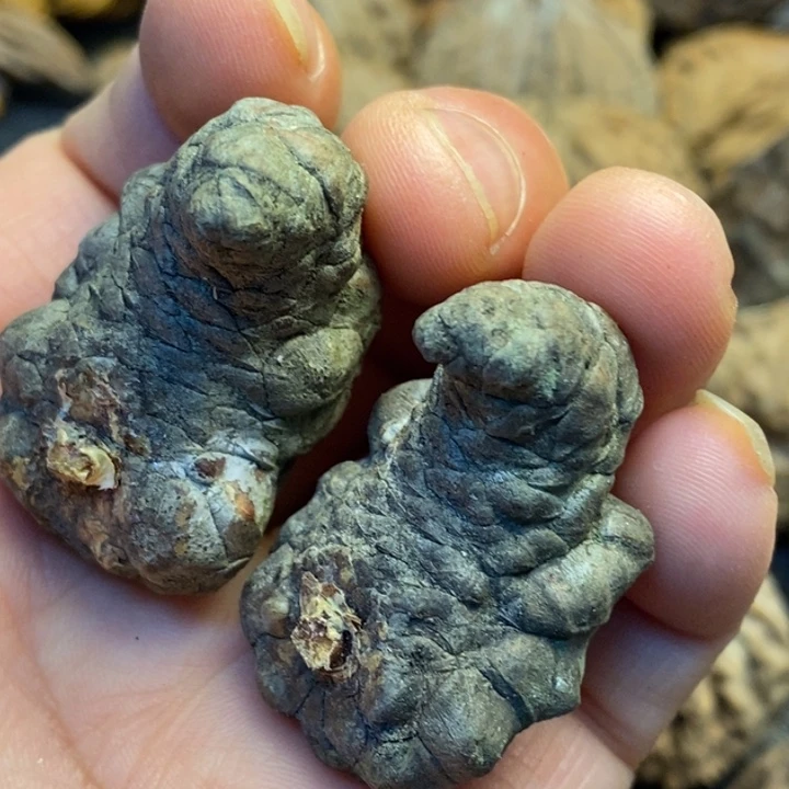 文玩核桃吊坠娜姐5