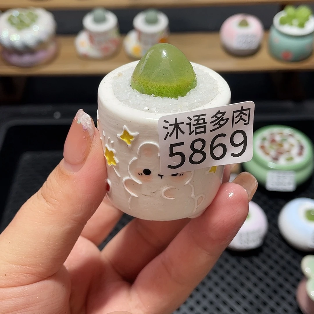 隰***带盆土植物 一物一拍5869