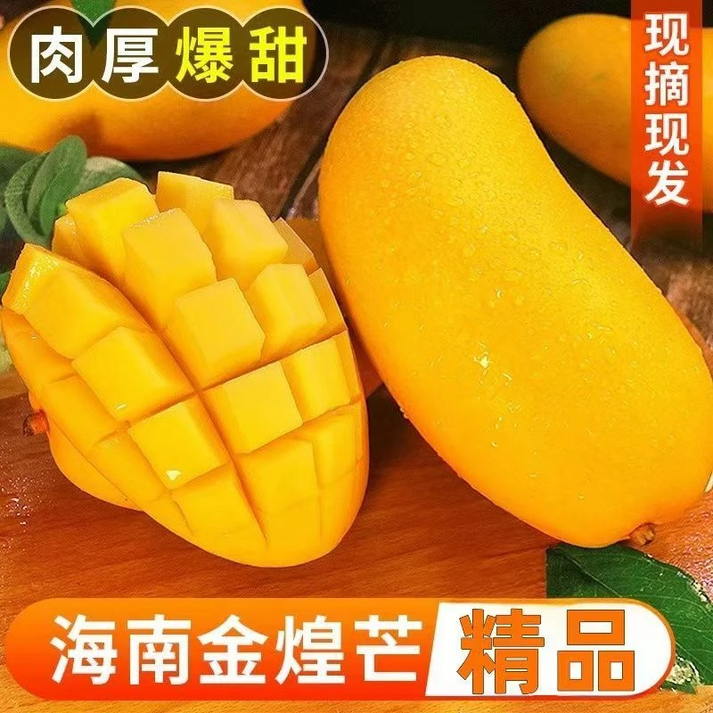 【助农补贴】海南金煌芒新鲜应季水果催熟放软食用5斤整箱现摘