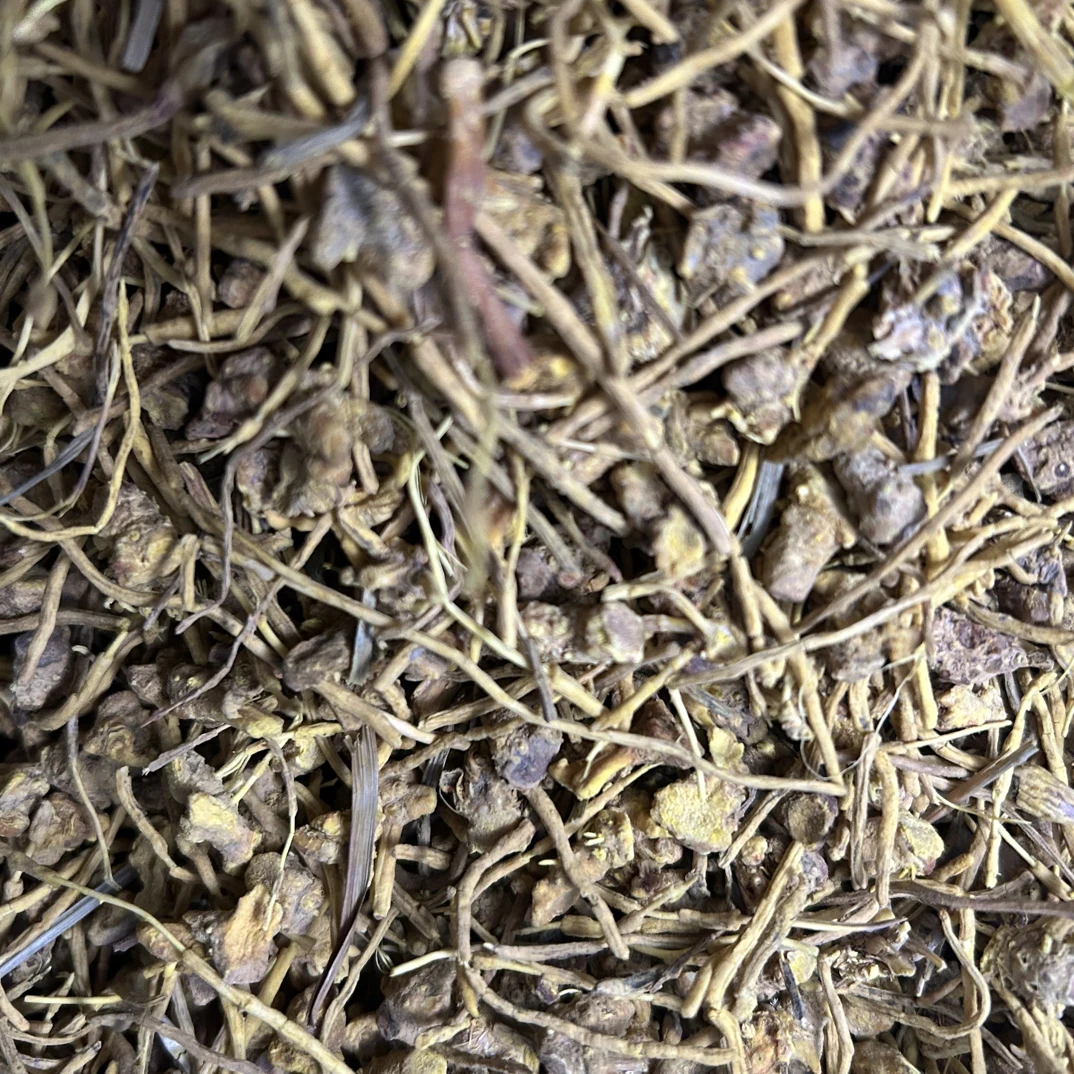 缅甸天然龙须石斛