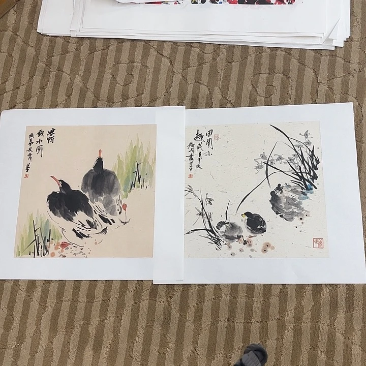 国画犷**风花鸟等多种鸟类2张