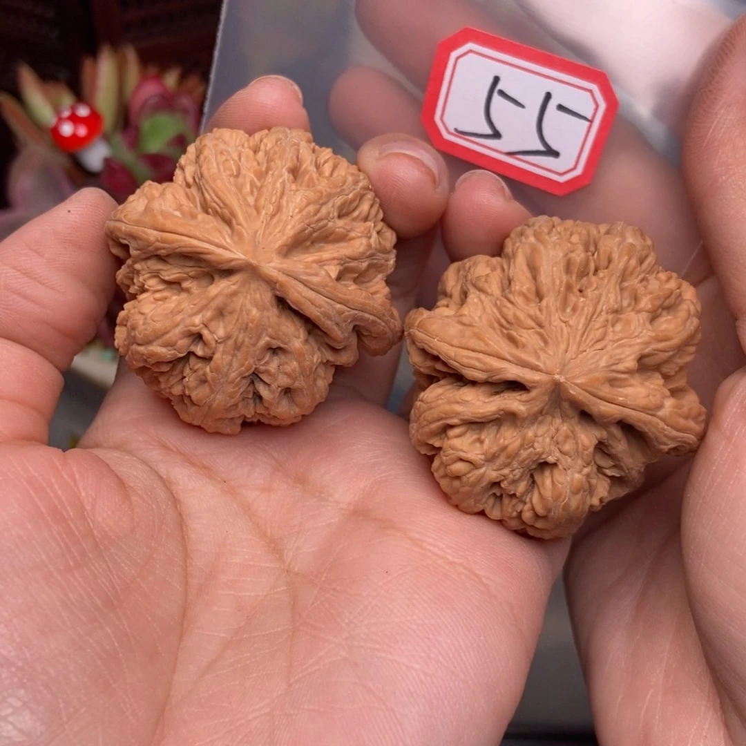 文玩核桃吊坠55号 大粗筋