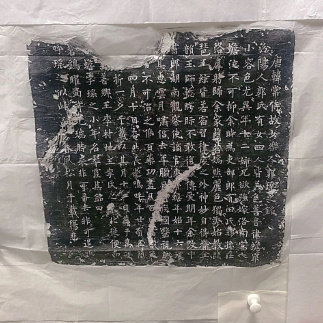 【闪购商品】拓片用纸其他郭瑶