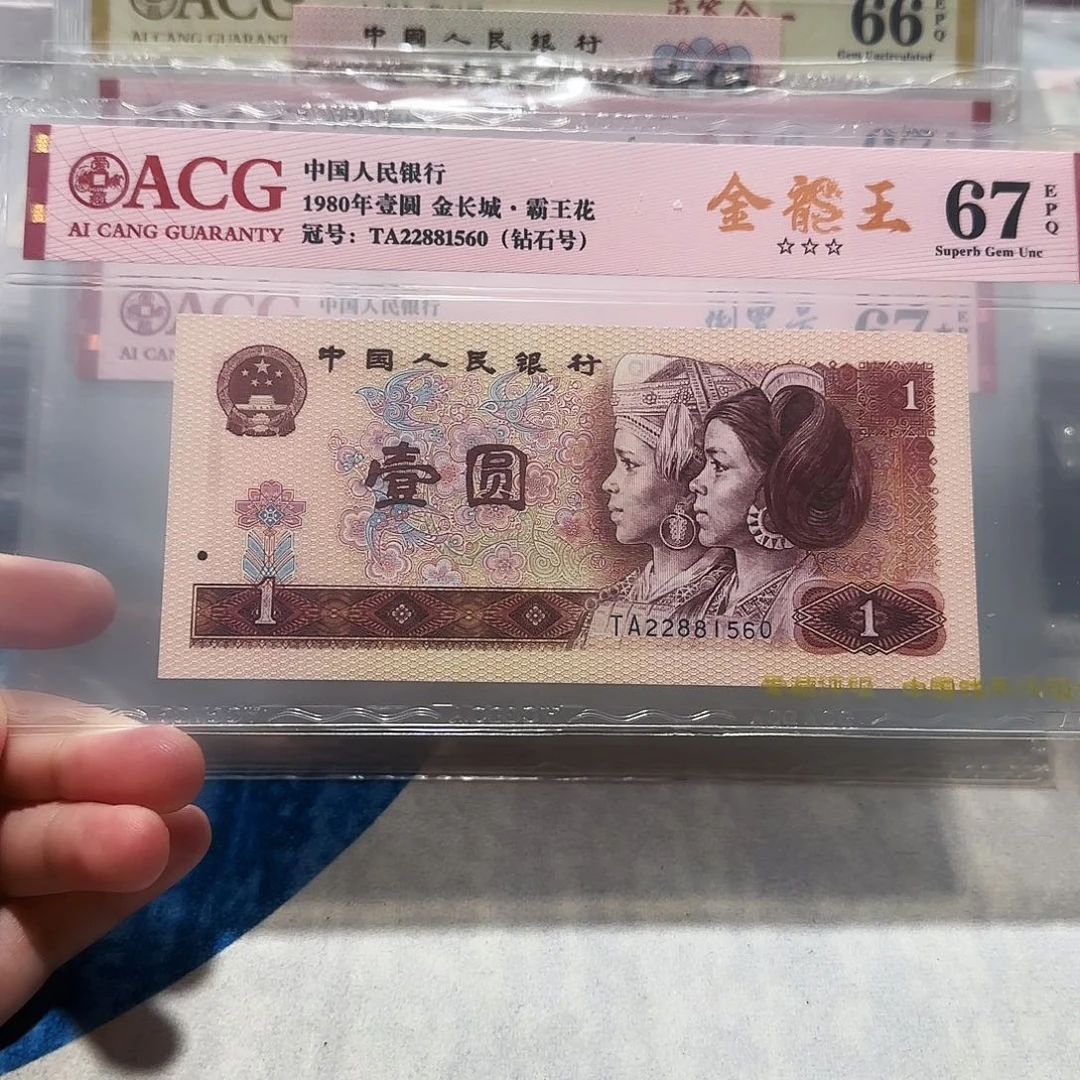 22881560。。。。。。。金龙王