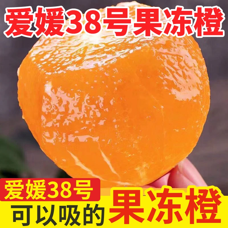 爱媛38号果冻橙【像果冻一样】四川新鲜水果
