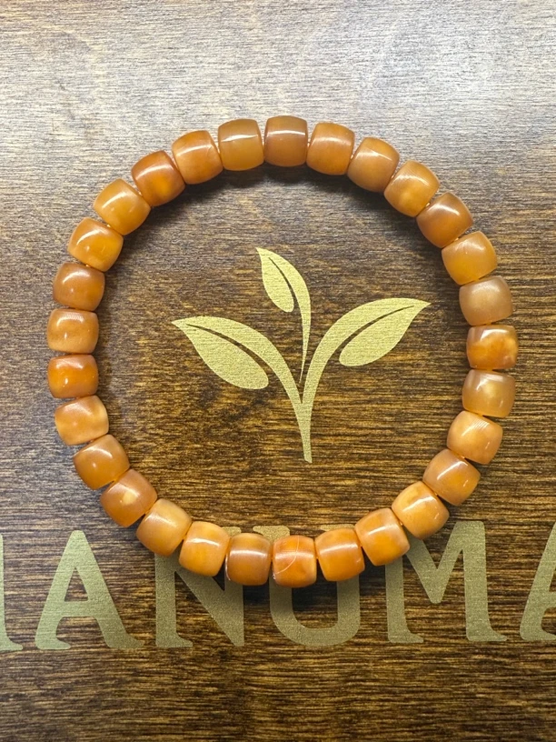 龙脊菩提玉化料直切8x7（有缩尺）