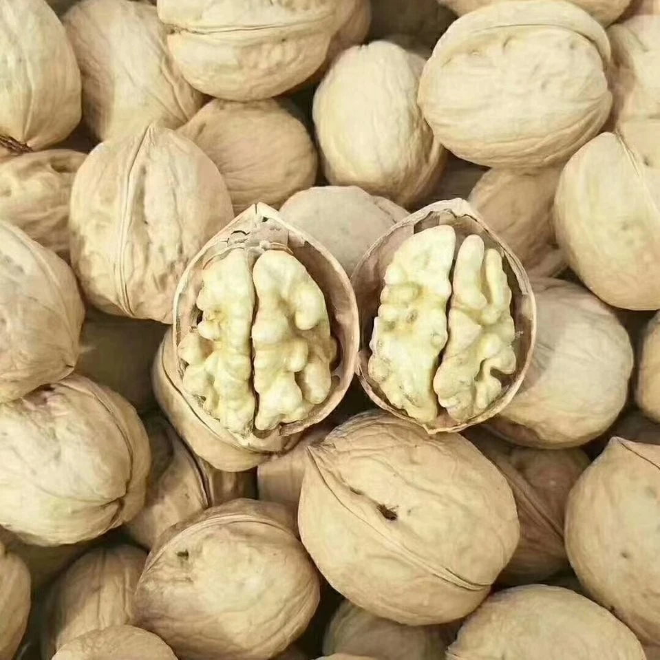 新疆阿克苏185纸皮核桃