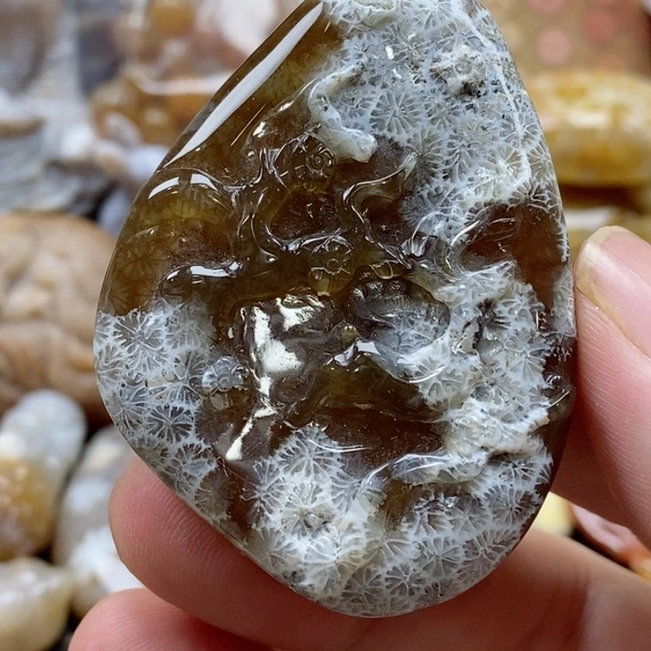 硅化珊瑚（珊瑚玉）颈饰未镶嵌有瑕