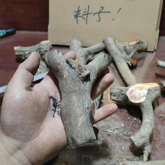 一***人大果紫檀（缅甸花梨）