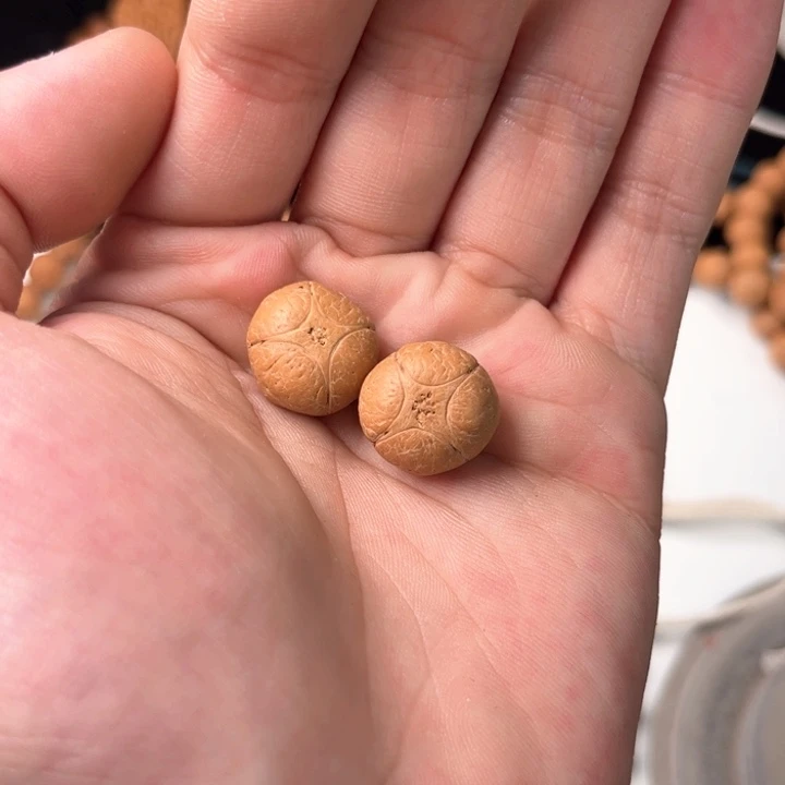 凤眼菩提手串后*16麒麟两颗