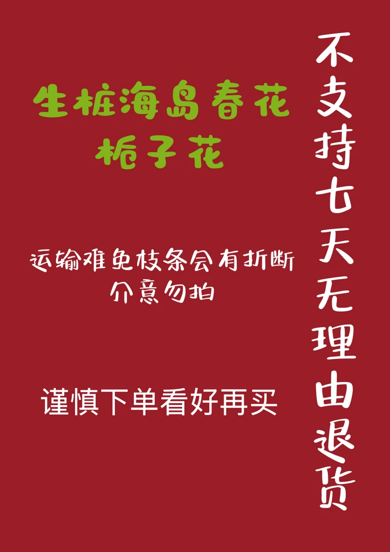 生桩海岛春花栀子花直播间一物一拍（运输难免有折断介意勿拍）