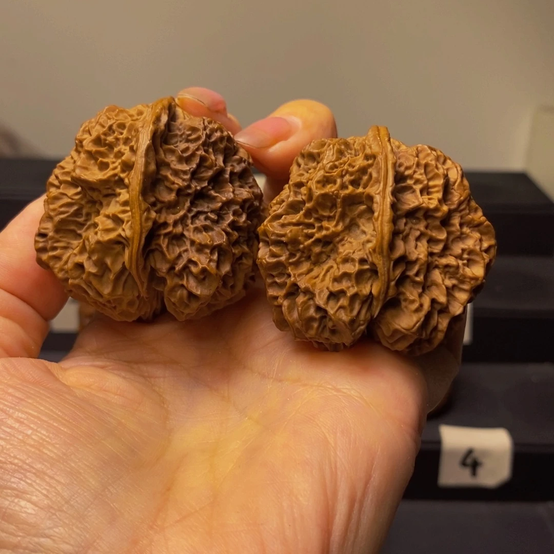 云***鹤茧荒古慌44尺铁核