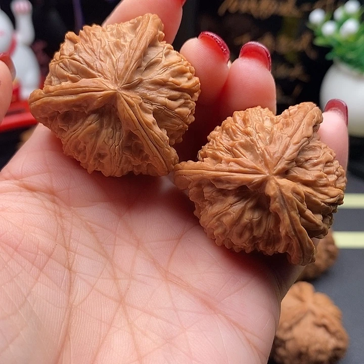 核桃39拼接白狮子