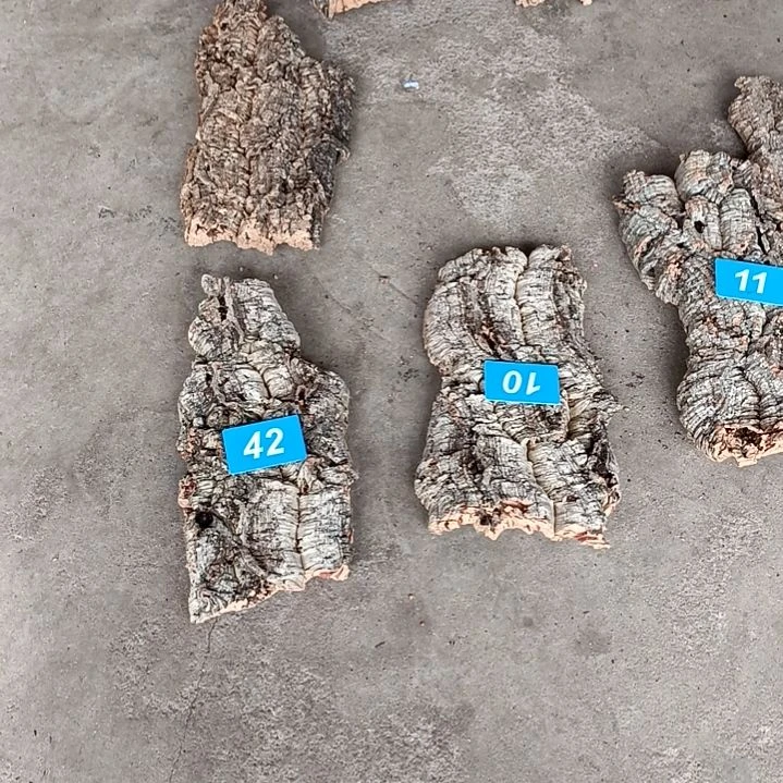 木一物一拍一物一发