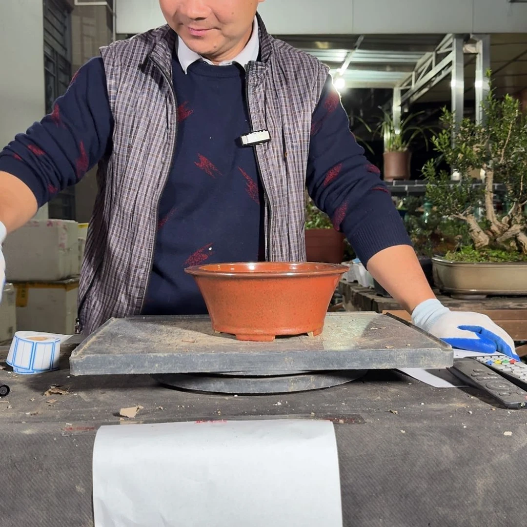 红陶?***?精选好盆