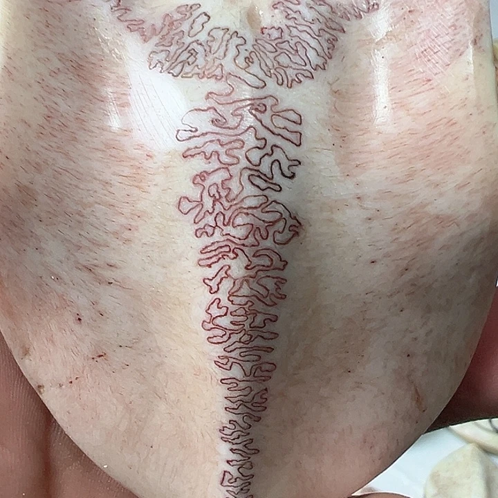 心***静树脂纯铜养殖鹿骨制作三届牌