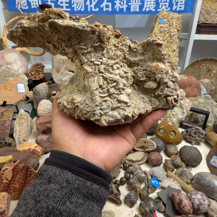 玉家居摆件家居标本