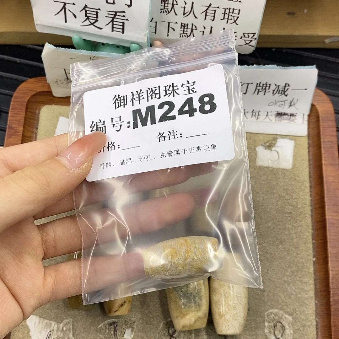 硅化珊瑚（珊瑚玉）未镶嵌颈饰淡*