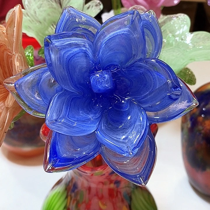 *****小花一只漂亮好看