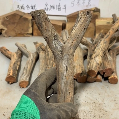 大果紫檀（缅甸花梨）凉