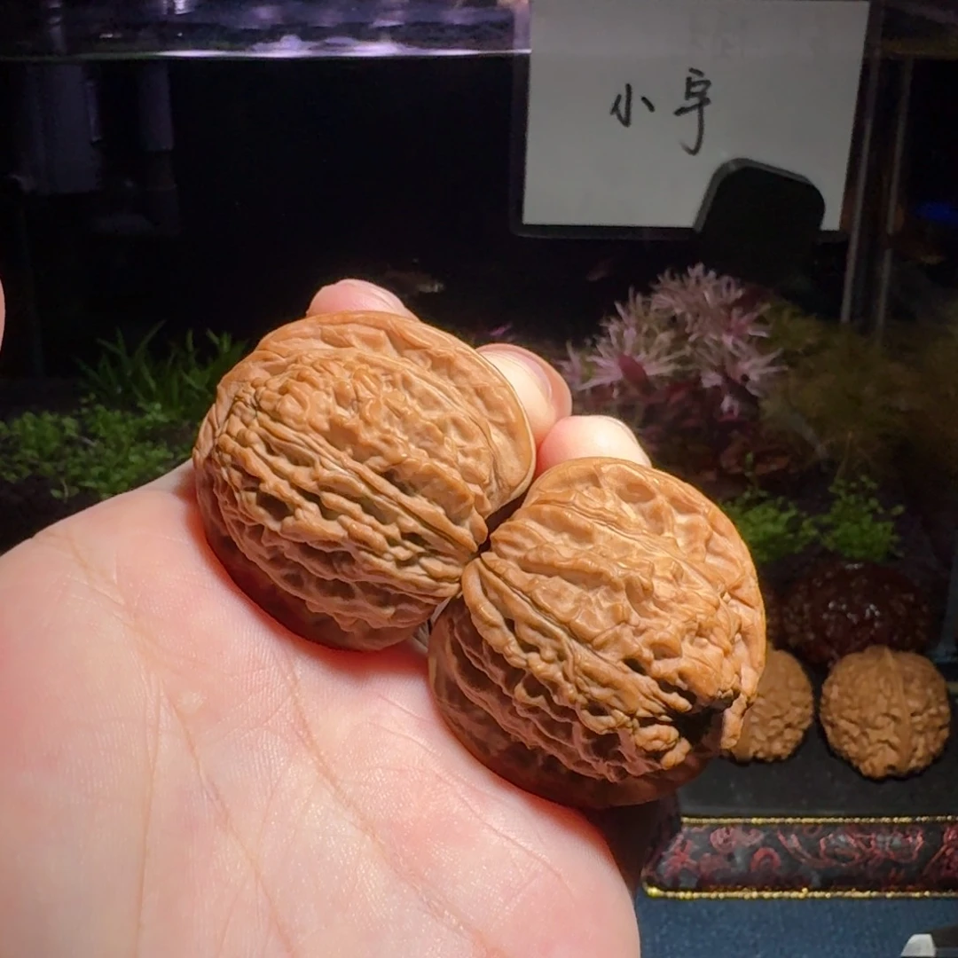 核桃把件1733号40平谷四座楼文玩核桃