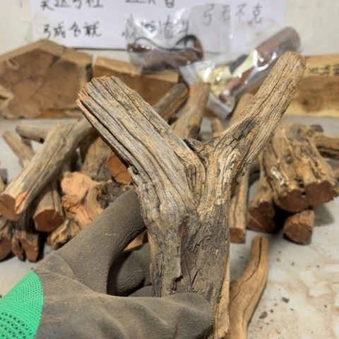 大果紫檀（缅甸花梨）h****玩