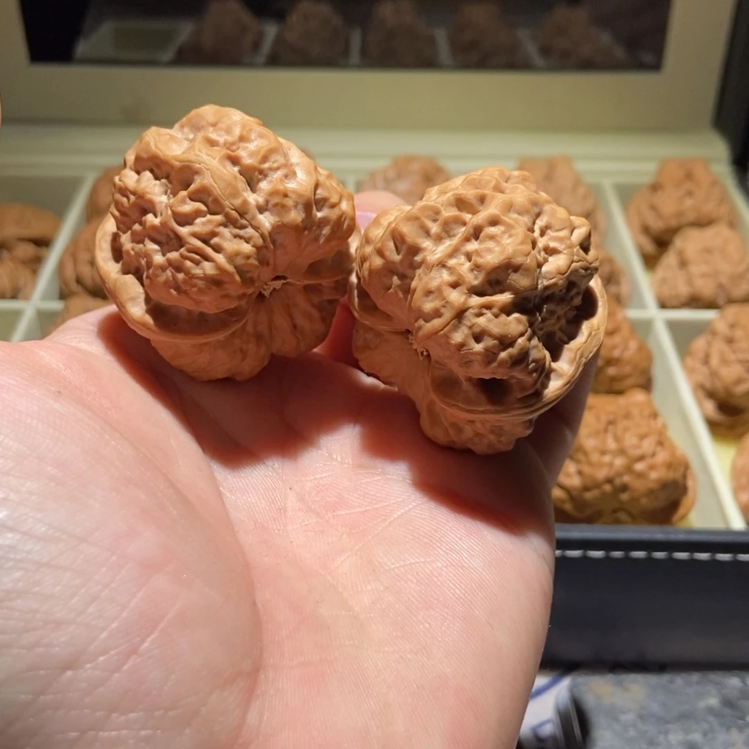 把件文玩核桃卡****啦43精品